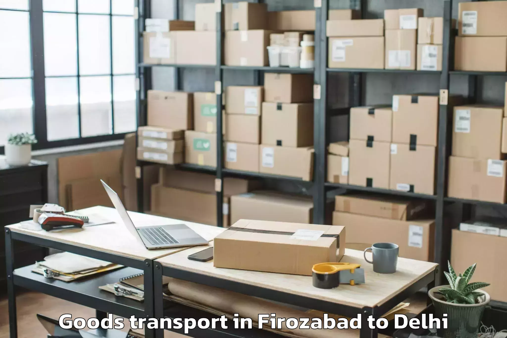 Reliable Firozabad to Palam Goods Transport